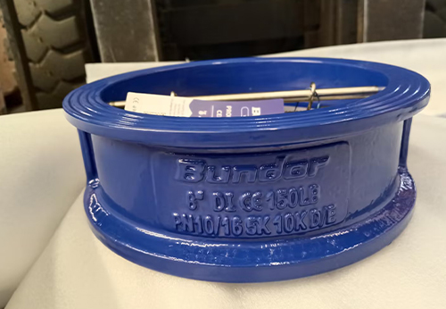 浙江某公司采購般德氣動蝶閥和蝶式止回閥